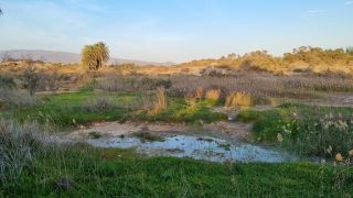 2023-11-GranCan-Maspalomas_Oasis-45.jpg